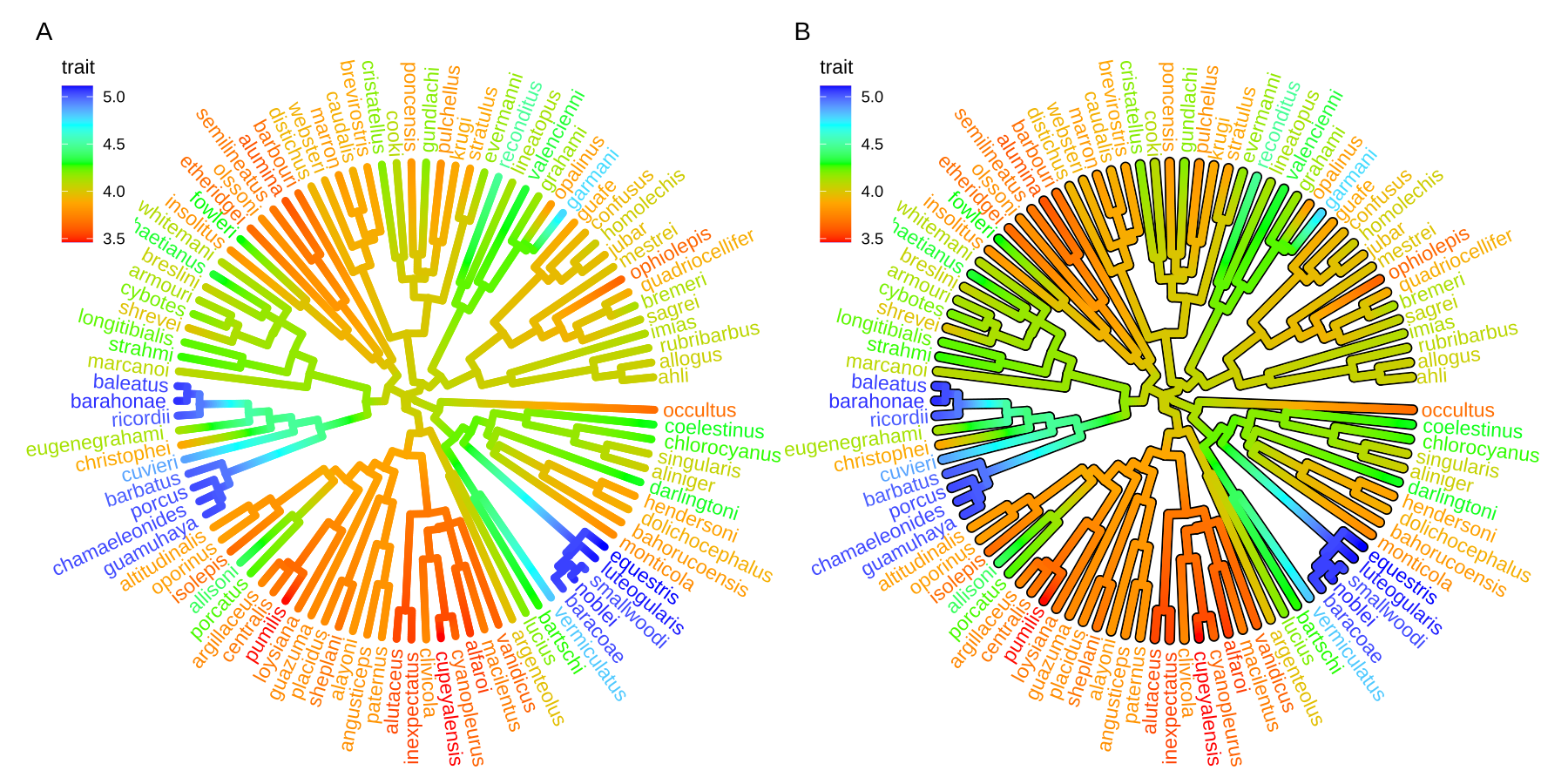 Continuous state transition in edges. Edges are colored by the values from ancestral trait to offspring.