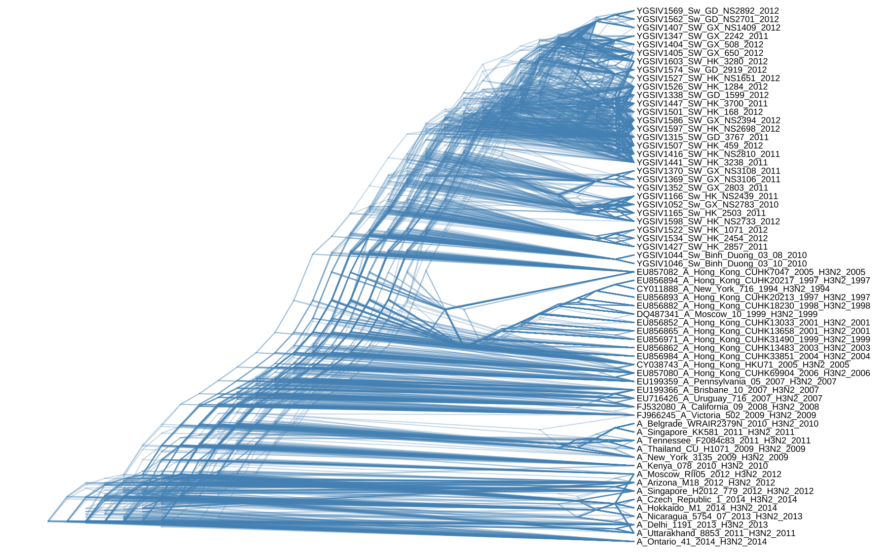 DensiTree. Trees are stacked on top of each other and the structures of the trees are rotated to ensure the consistency of the tip order.