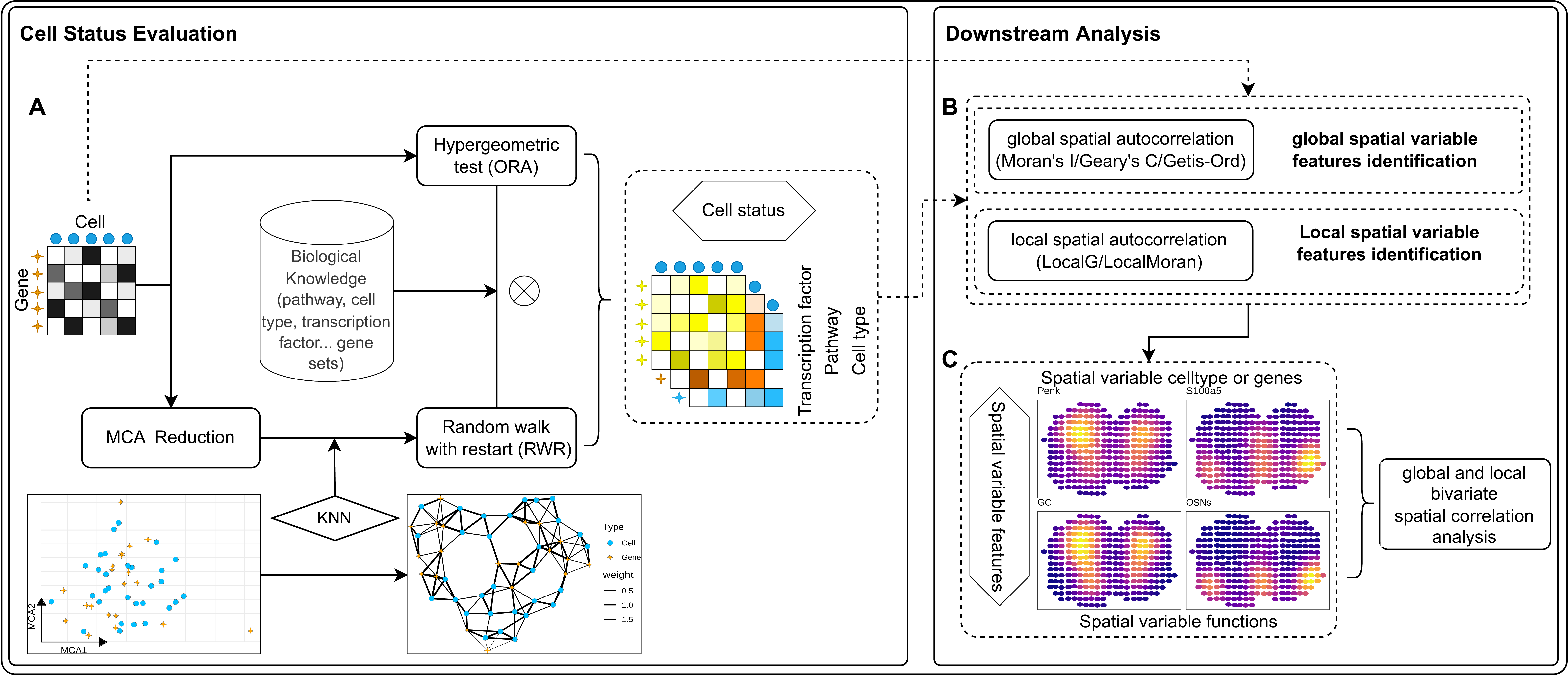 Overview of SVP