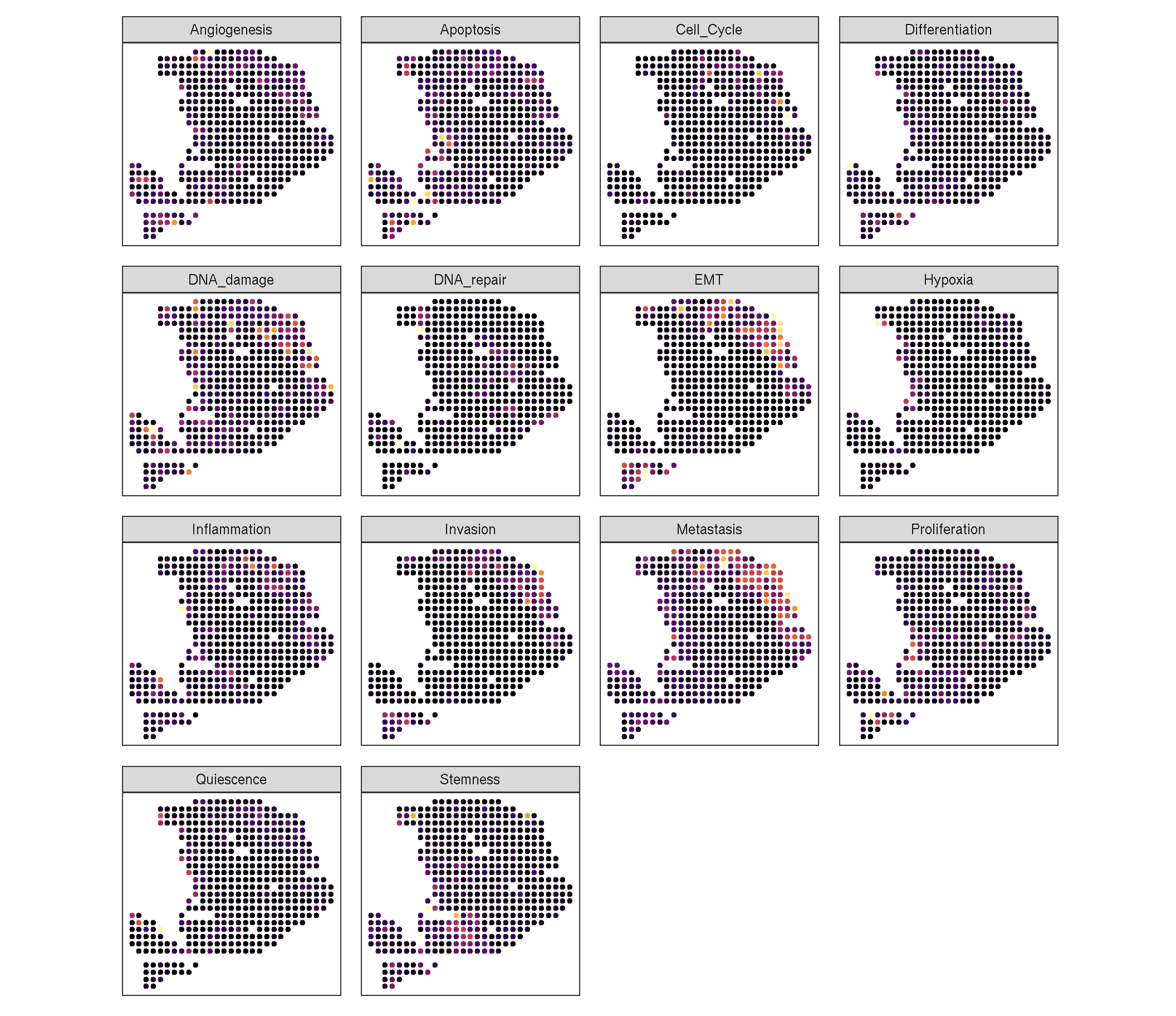 The heatmap of each CancerSEA function