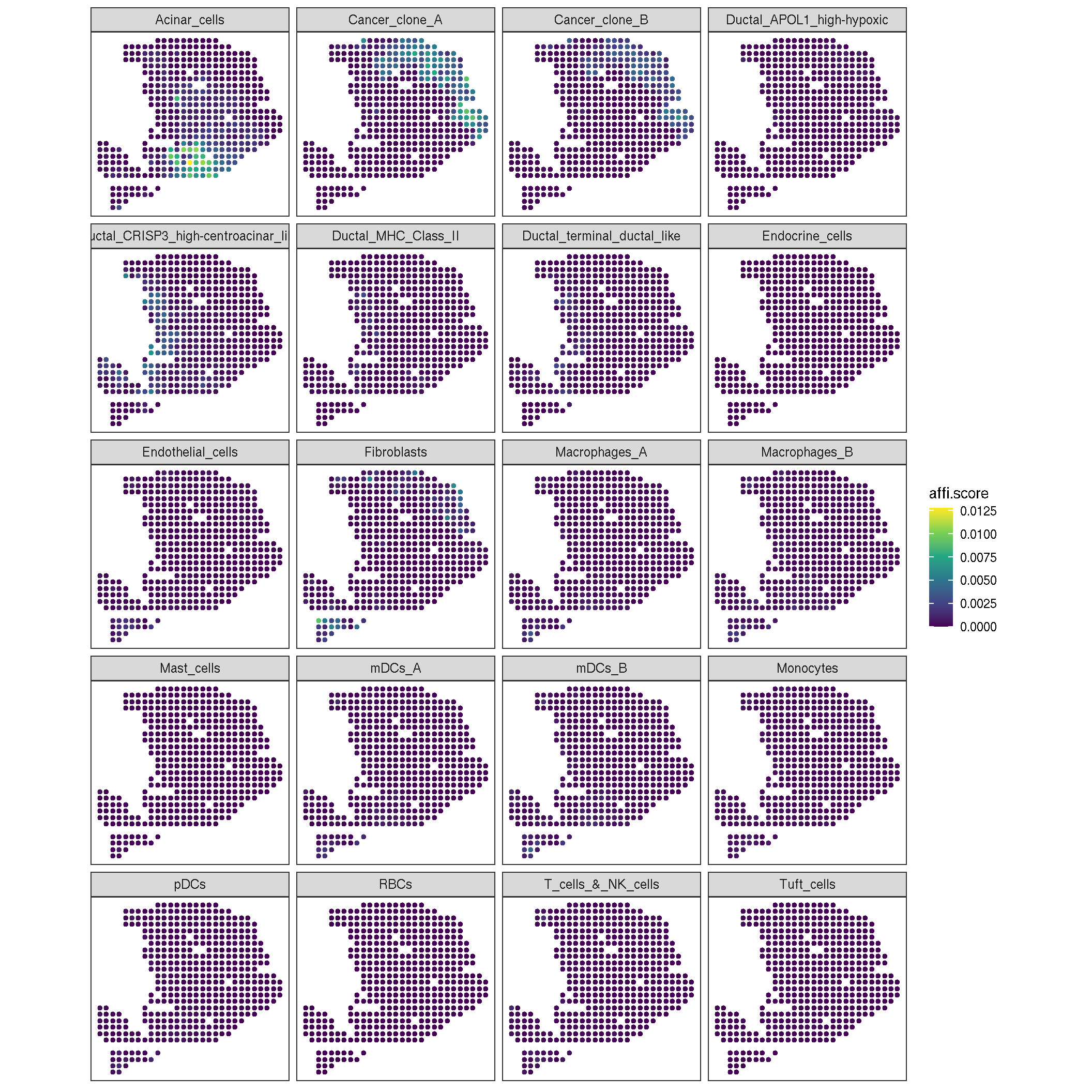 the heatmap of each cell-type activity