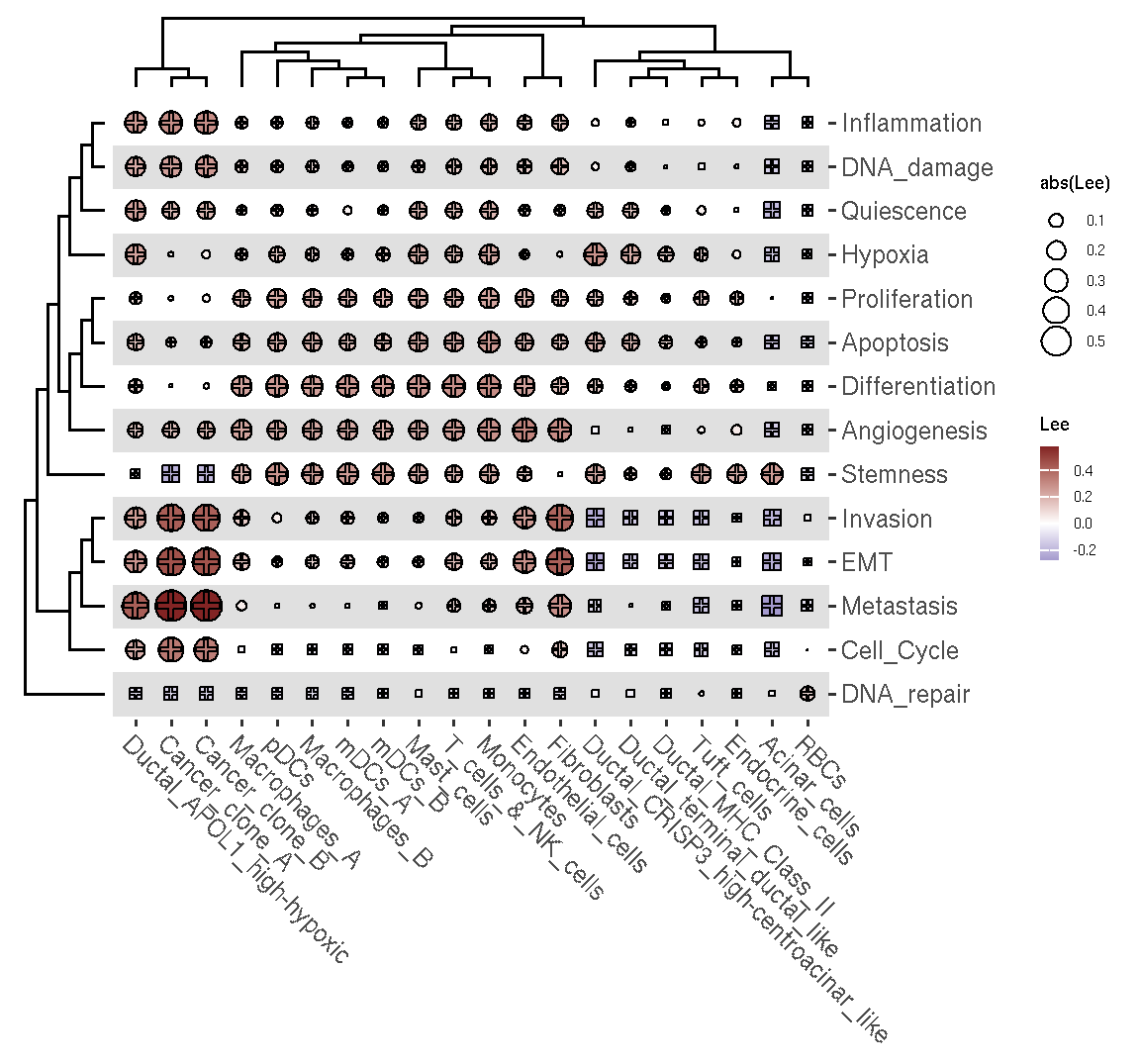 The heatmap of spatial correlation between cell tyep and CancerSEA states