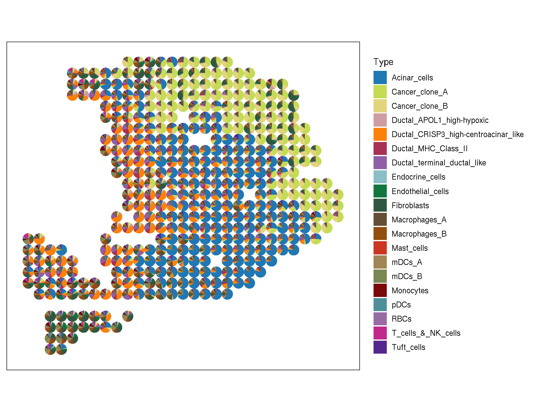 The pie plot of cell-type activity