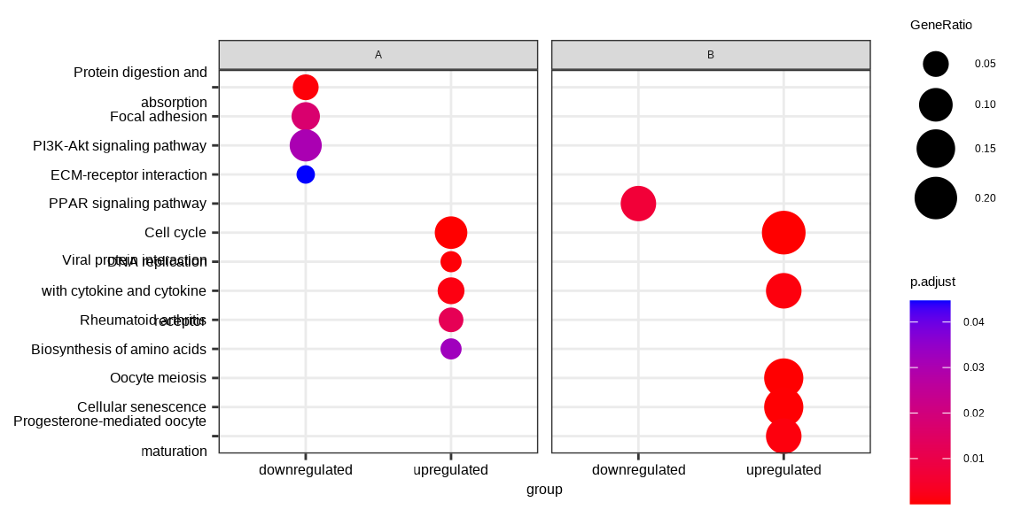 Dotplot Split GO Enrichment