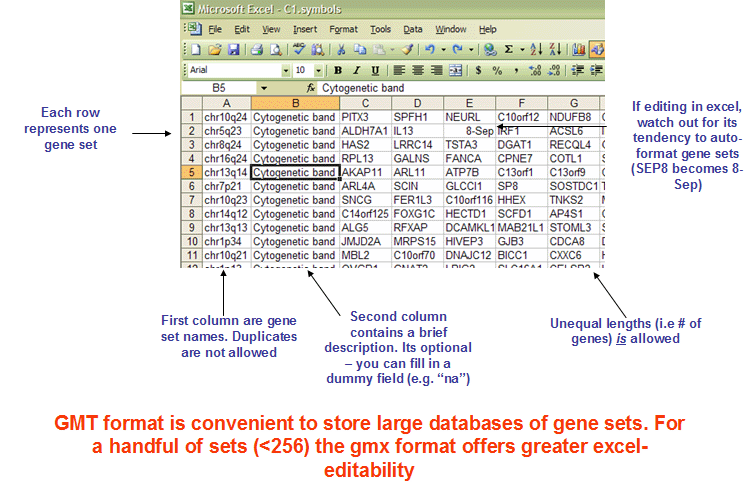 The GMT format. Figure taken from https://software.broadinstitute.org/cancer/software/gsea/wiki/index.php/Data_formats.