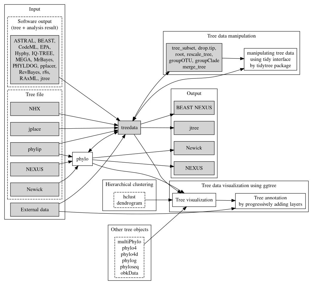 Overview of the treeio package and its relations with tidytree and ggtree. Treeio supports parsing a tree with data from a number of file formats and software outputs. A treedata object stores a phylogenetic tree with node/branch-associated data. Treeio provides several functions to manipulate a tree with data. Users can convert the treedata object into a tidy data frame (each row represents a node in the tree and each column represents a variable) and process the tree with data using the tidy interface implemented in tidytree. The tree can be extracted from the treedata object and exported to a Newick and NEXUS file or can be exported with associated data into a single file (either in the BEAST NEXUS or jtree format). Associated data stored in the treedata object can be used to annotate the tree using ggtree. In addition, ggtree supports a number of tree objects, including phyloseq for microbiome data and obkData for outbreak data. The phylo, multiPhylo (ape package), phylo4, phylo4d (phylobase package), phylog (ade4 package), phyloseq (phyloseq package), and obkData (OutbreakTools package) are tree objects defined by the R community to store tree with or without domain-specific data. All these tree objects as well as hierarchical clustering results (e.g., hclust and dendrogram objects) are supported by ggtree.
