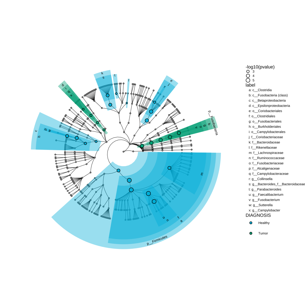 Visualize differential taxonomy clade.