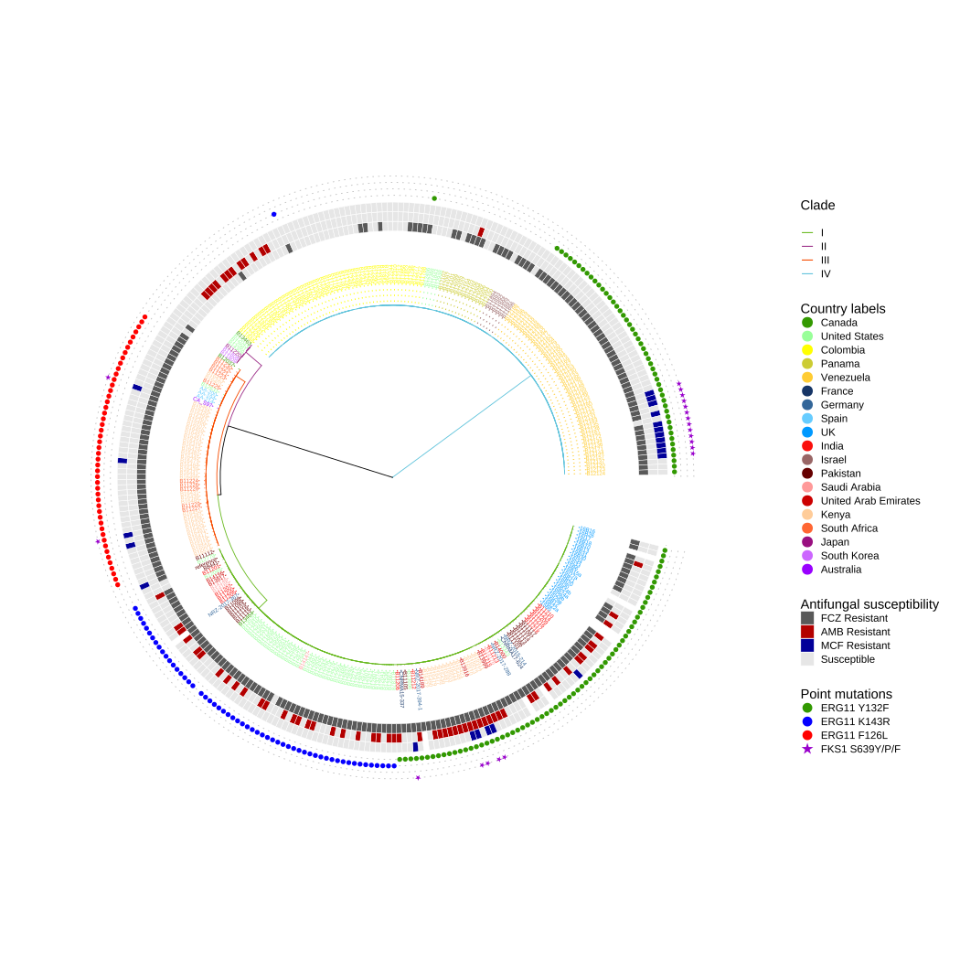 Antifungal susceptibility and point mutations in drug targets in Candida Auris .