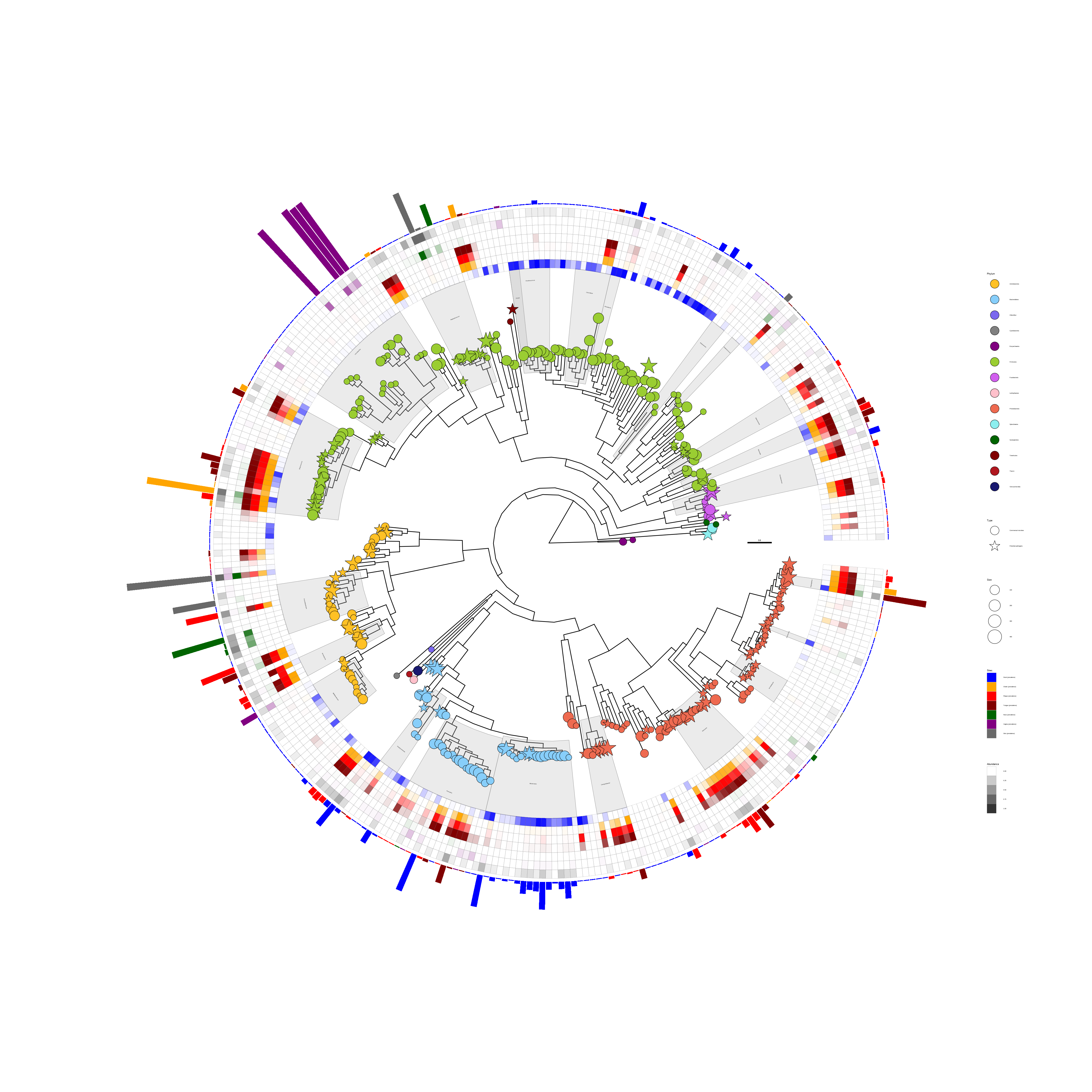 Presenting microbiome data (abundance and location) on a phylogenetic tree. The tree was annotated with symbolic points, highlighted clades, and clade labels. Two geom_fruit() layers were used to visualize location and abundance information.