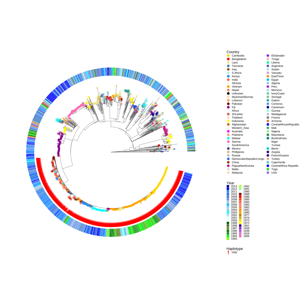 Population structure of the 1,832 S. Typhi isolates.