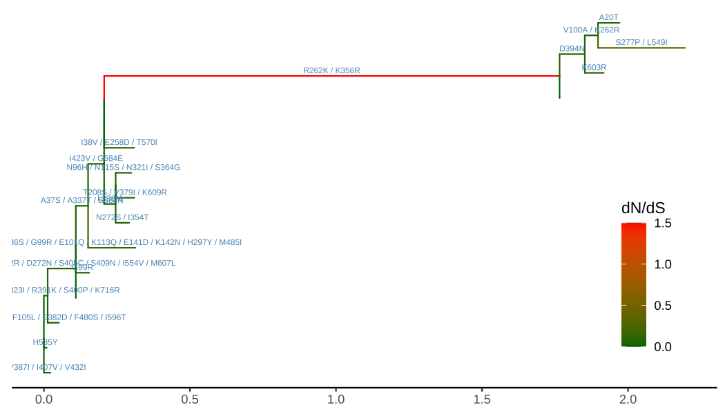 Annotating tree with amino acid substitution and dN/dS inferred by CODEML. Branches were rescaled and colored by dN/dS values, and amino acid substitutions were displayed on the middle of branches.