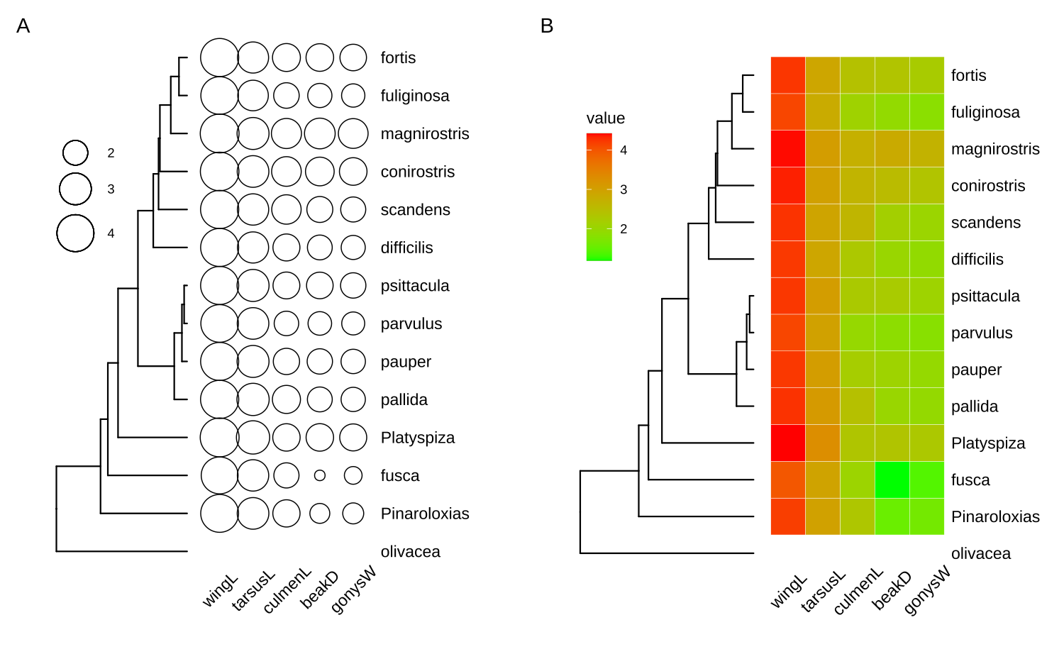 Visualizing phylo4d data using ggtree. Reproduce the output of the plot() method provided in the phylobase package (A). Visualize the trait data as a heatmap which is not supported in the phylobase package (B).