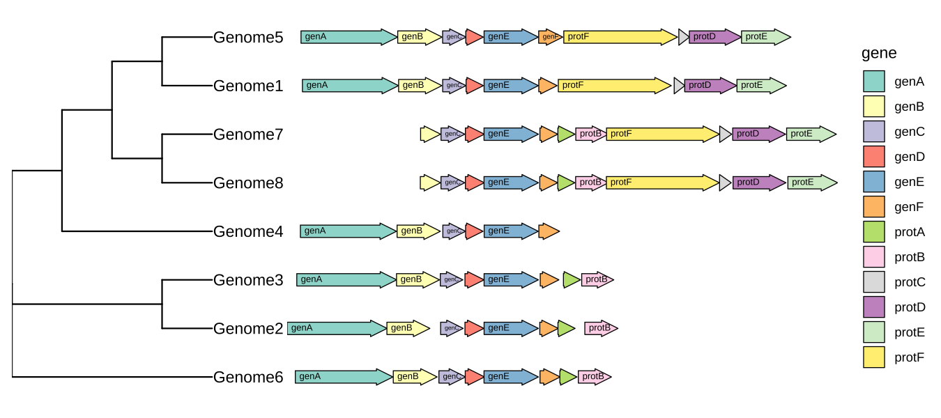 Genomic features with a phylogenetic tree.