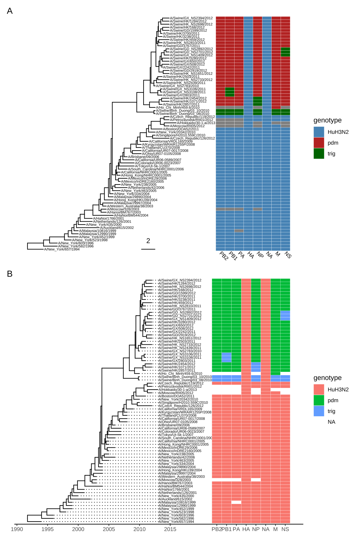 Example of plotting matrix with gheatmap(). A H3 influenza tree with a genotype table visualized as a heatmap (A). Tips were aligned and with a tailored x-axis for divergence times (tree) and genomic segments (heatmap) (B).