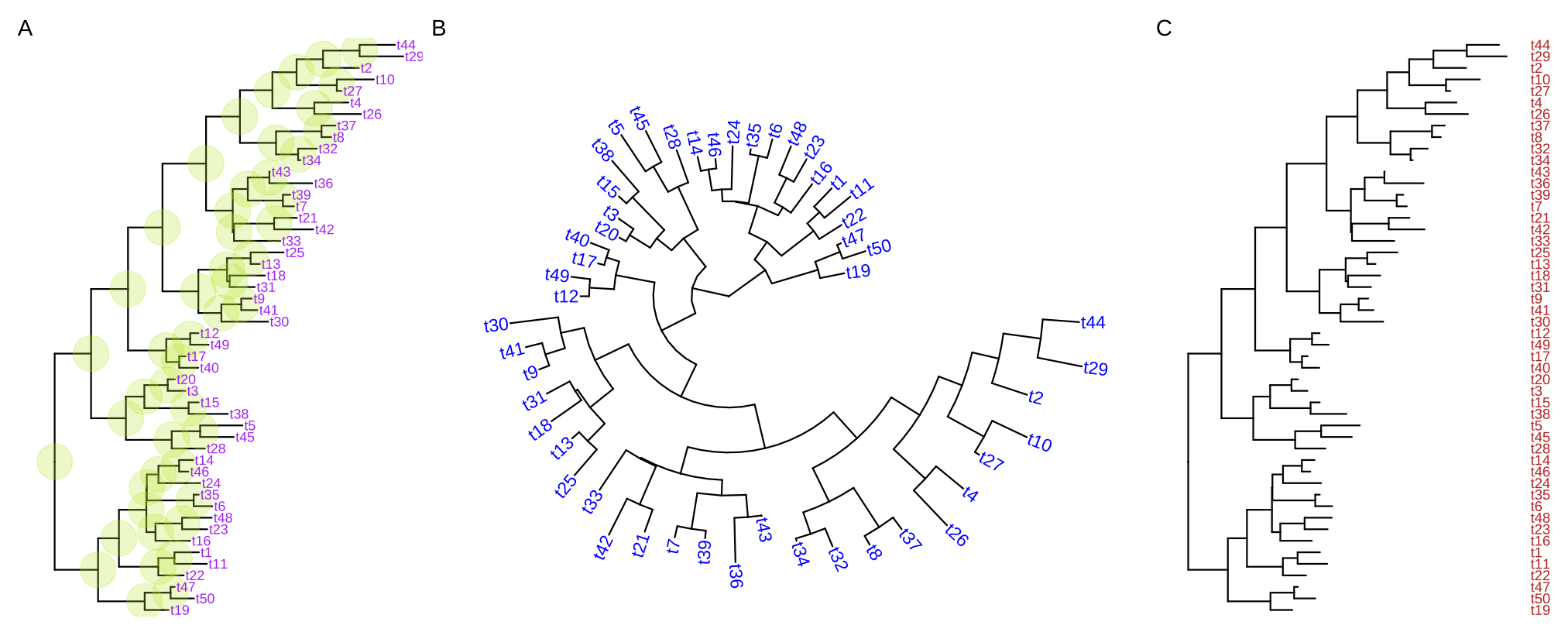 Display tip labels. geom_tiplab() supports displaying tip labels (A). For the circular, fan, or unrooted tree layouts, the labels can be rotated to fit the angle of the branches (B). For dendrogram/rectangular layout, tip labels can be displayed as y-axis labels (C).